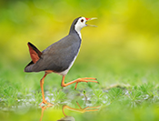 Sue Hsu's photo